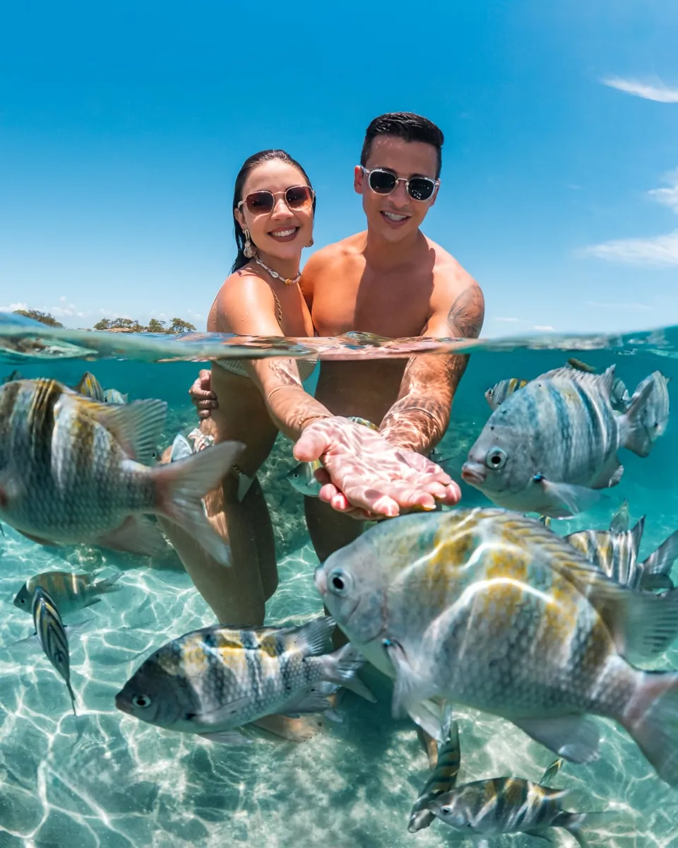 Família mergulhando entre peixes coloridos nas piscinas naturais de Morro de São Paulo